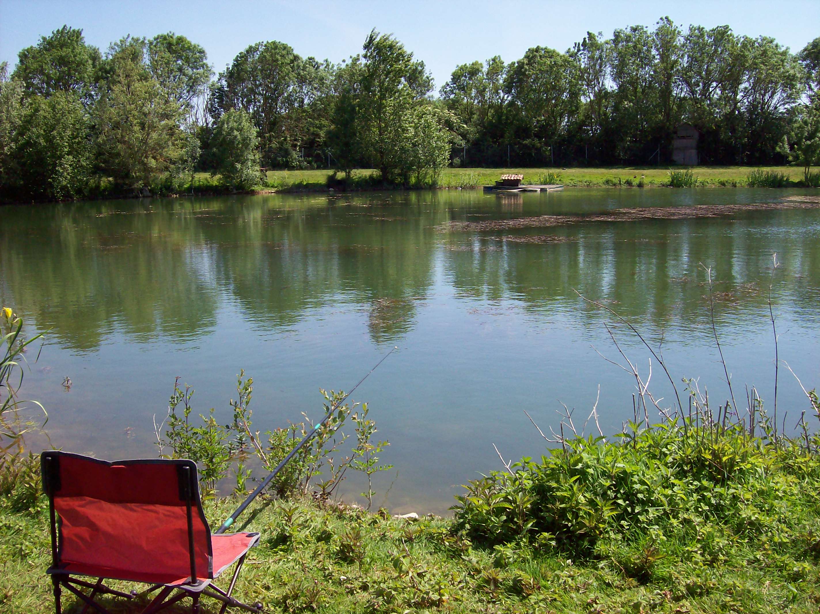 Pêche au bord d’un étang